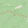 Silver Falls via Sunset Trail in Big Basin Redwoods State Park trail, distance, elevation, map, profile, GPS track