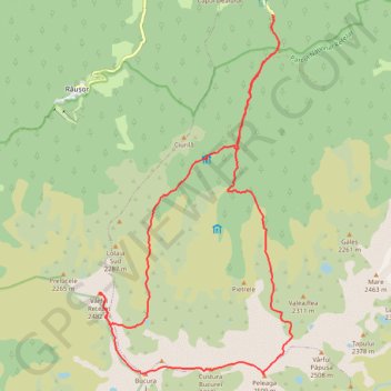 Carnic - Peleaga - Bucura1 - Retezat - Muntii Retezat trail, distance, elevation, map, profile, GPS track